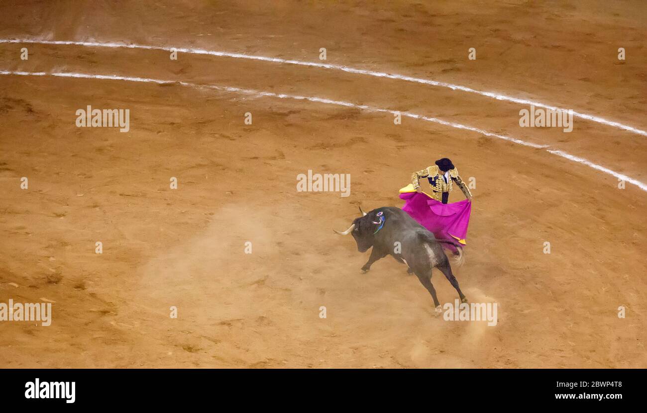 Stierkampf an der Stierkampfarena Plaza Mexico, Mexiko-Stadt Stockfoto