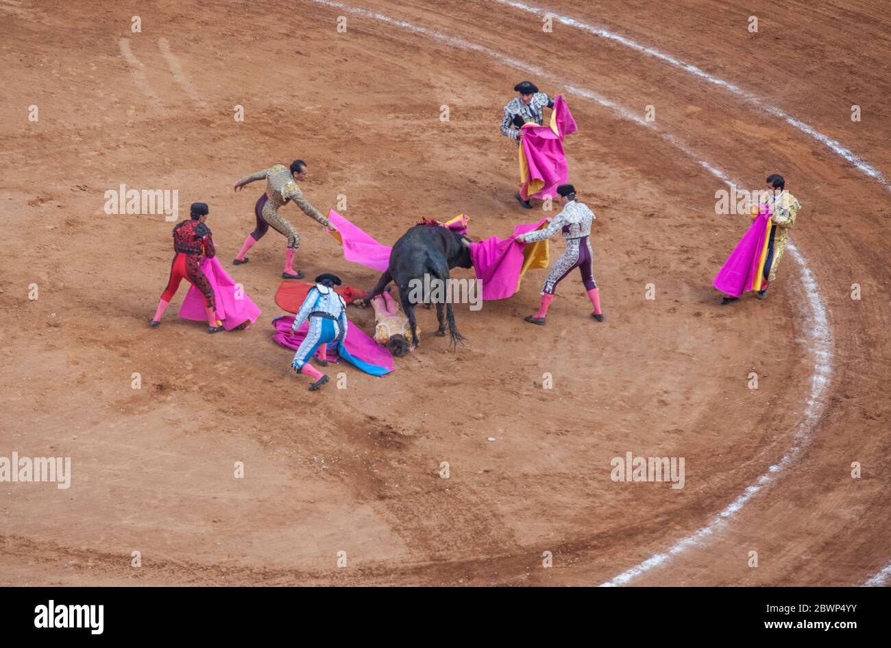 Floored Bullfighter wird gerettet, Plaza Mexico, Mexico City, Mexiko Stockfoto