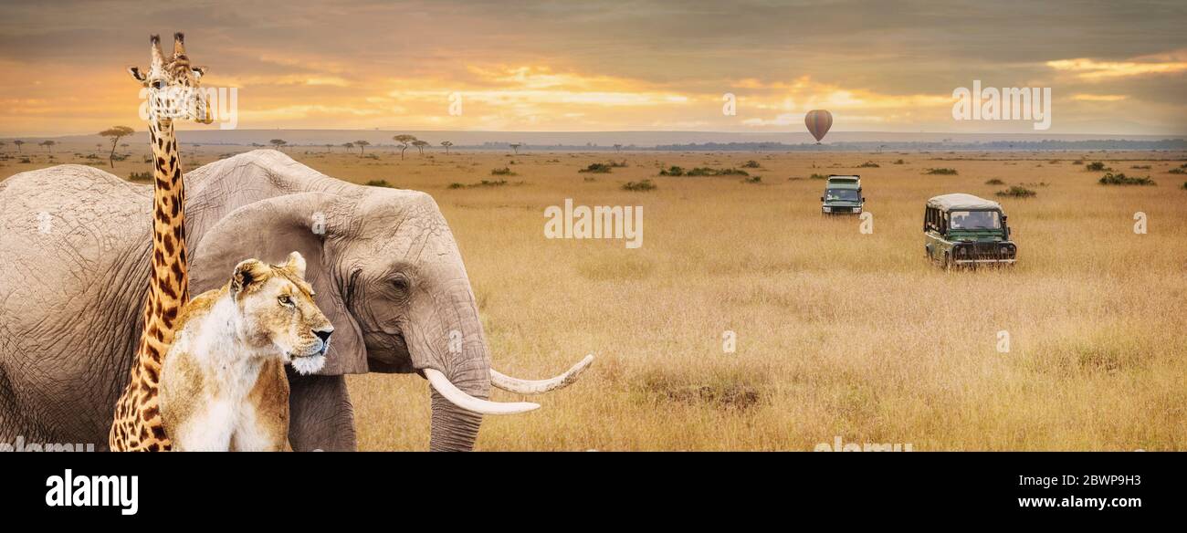 Afrika Safari wilde Safari Tiere in Ecke von Web-Banner oder Social-Media-Cover mit Fahrzeugen und Heißluftballon Stockfoto