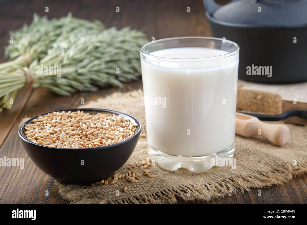 Ein Glas Hafermilch, Zutaten für die Herstellung von Hafermilch oder Haferflocken zu Hause. Grüne Haferohren und schwarze Pfanne auf Hintergrund. Stockfoto