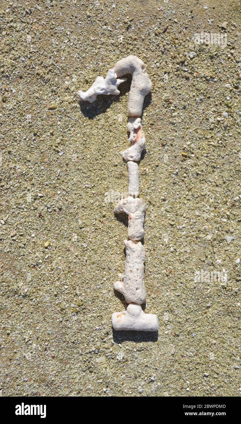 Nummer eins (1) bestehend aus kleinen Stücken weißer Koralle auf einem Sand-Hintergrund am Strand Stockfoto