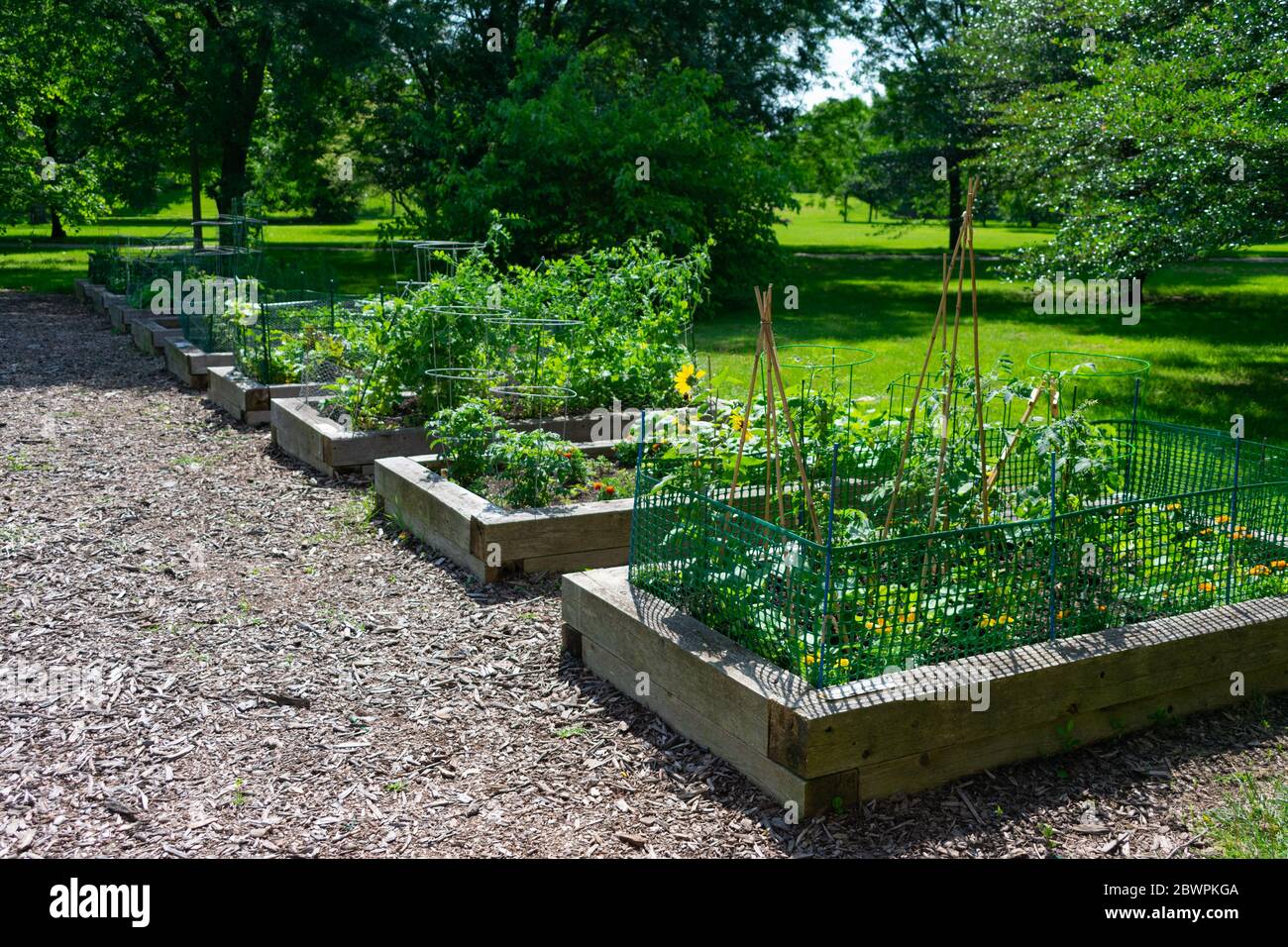 Pflanzer in einem Gemeinschaftsgarten in einem Park in Edgewater Chicago Stockfoto