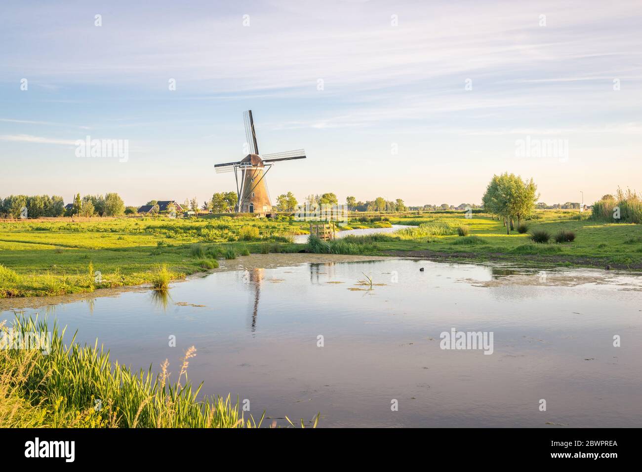 Malerischer Blick auf eine traditionelle Windmühle in der niederländischen Landschaft. Mühle heißt "Haastrechte molen", nahe der Stadt Gouda, Holland. Stockfoto