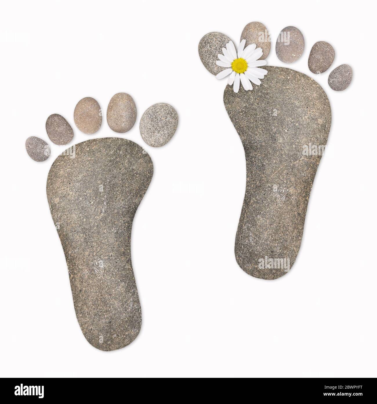 Füße mit Kamille, Steine Stockfoto