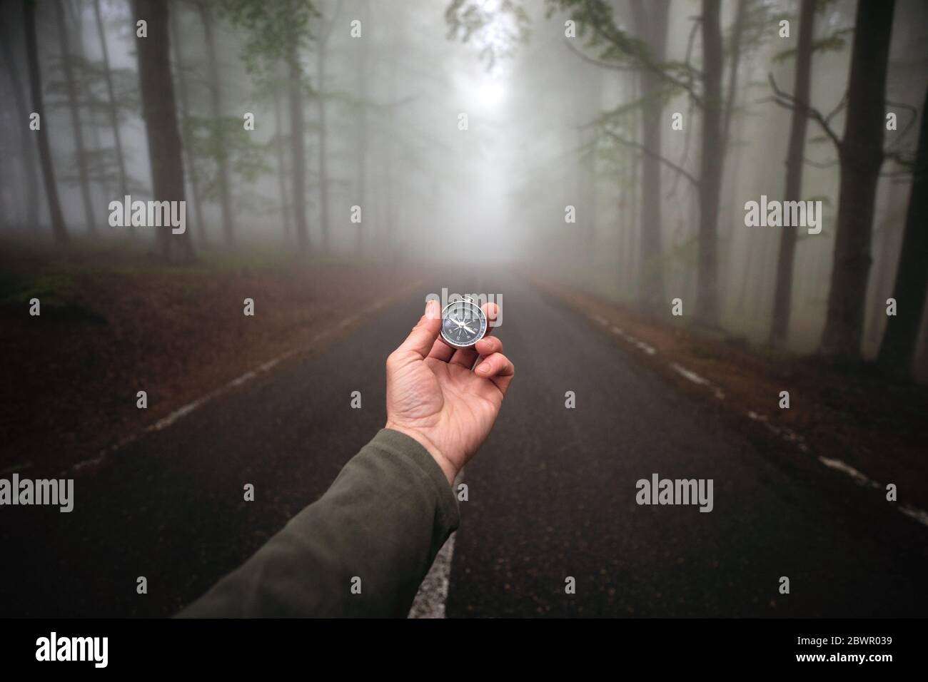 Überlebender junger Erwachsener Wanderer auf der Suche nach der Richtung nach Hause mit Navigationskompass im nebligen Wald. Stockfoto