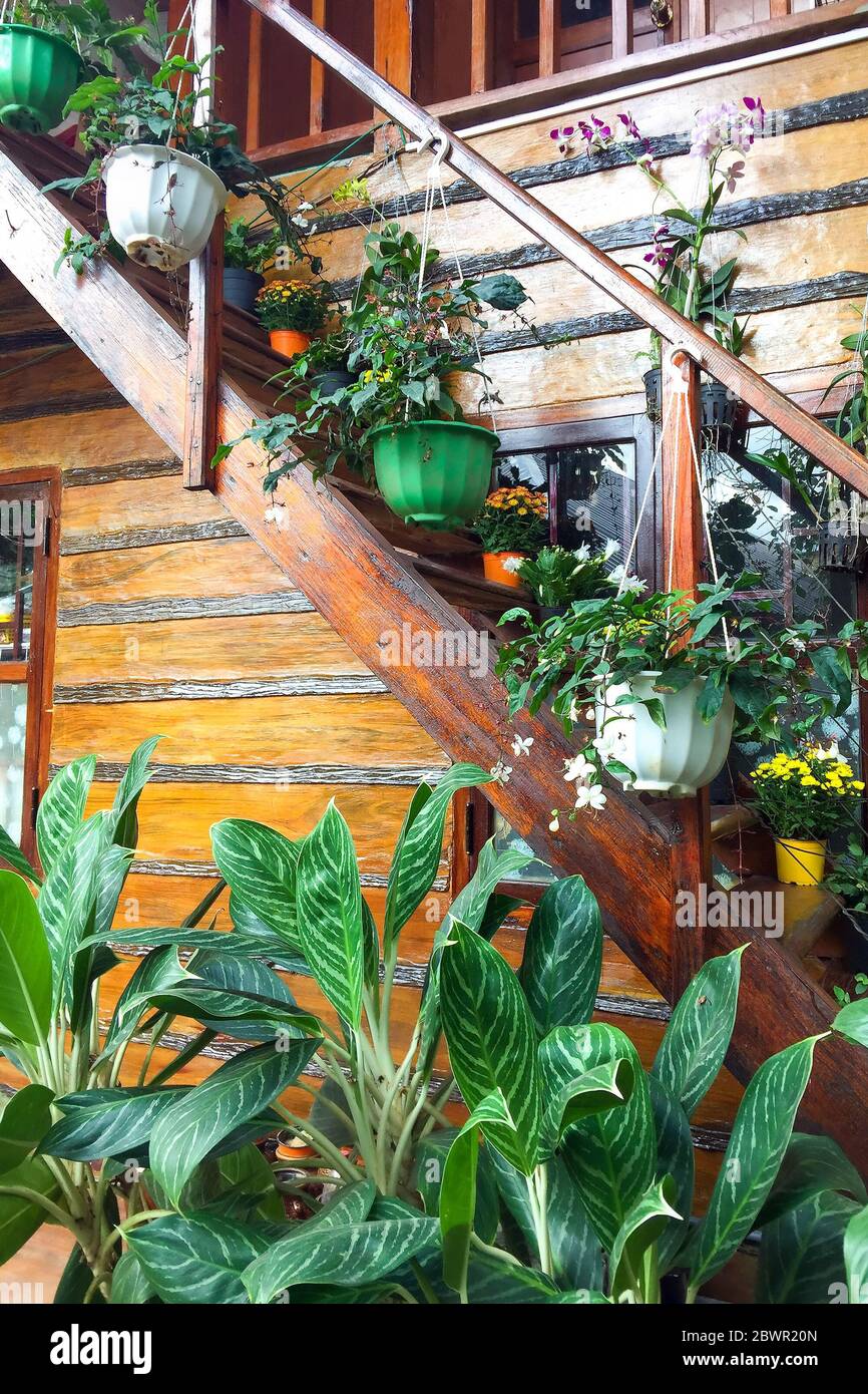 Holztreppe mit Blumen in hängenden Topf dekoriert. Umweltfreundliche Einrichtung in einem Landhaus Stockfoto