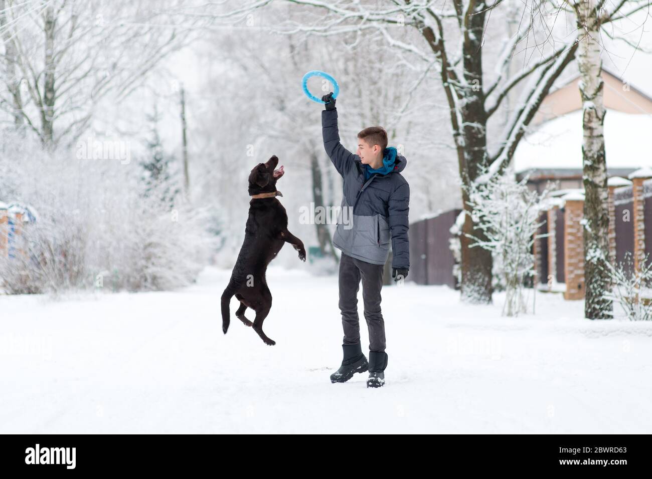 Ein Junge geht im Winter mit einem Hund hinein Das Dorf und spielt Stockfoto
