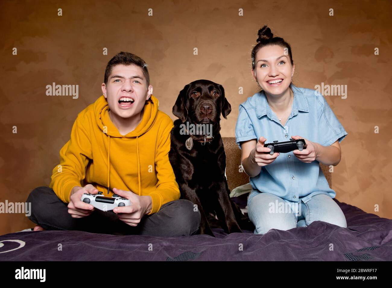 Bruder, Schwester und Haushund vor einem Bildschirm bei einem Computerspiel. Die Jungs spielen, und der Hund beobachtet Stockfoto