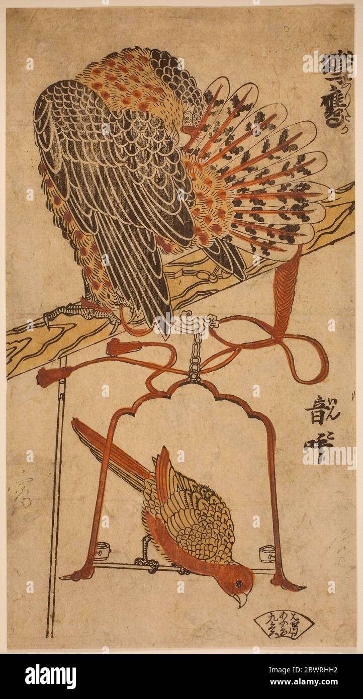 Autor: Torii Kiyomasu I. Sparrowhawk und Ara (Konori taka, inko) - c. 1718 - zugeschrieben Torii Kiyomasu I Japanisch, aktive c. 1704'18 (). Stockfoto