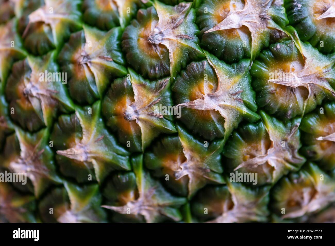 Ananas-Haut Stockfoto
