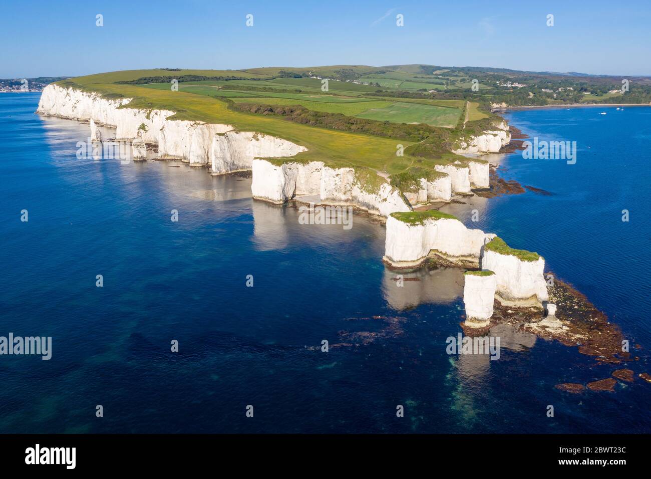 Chalk Cliffs Old Harry Rocks Isle of Purbeck in Dorset, Südengland. Stockfoto