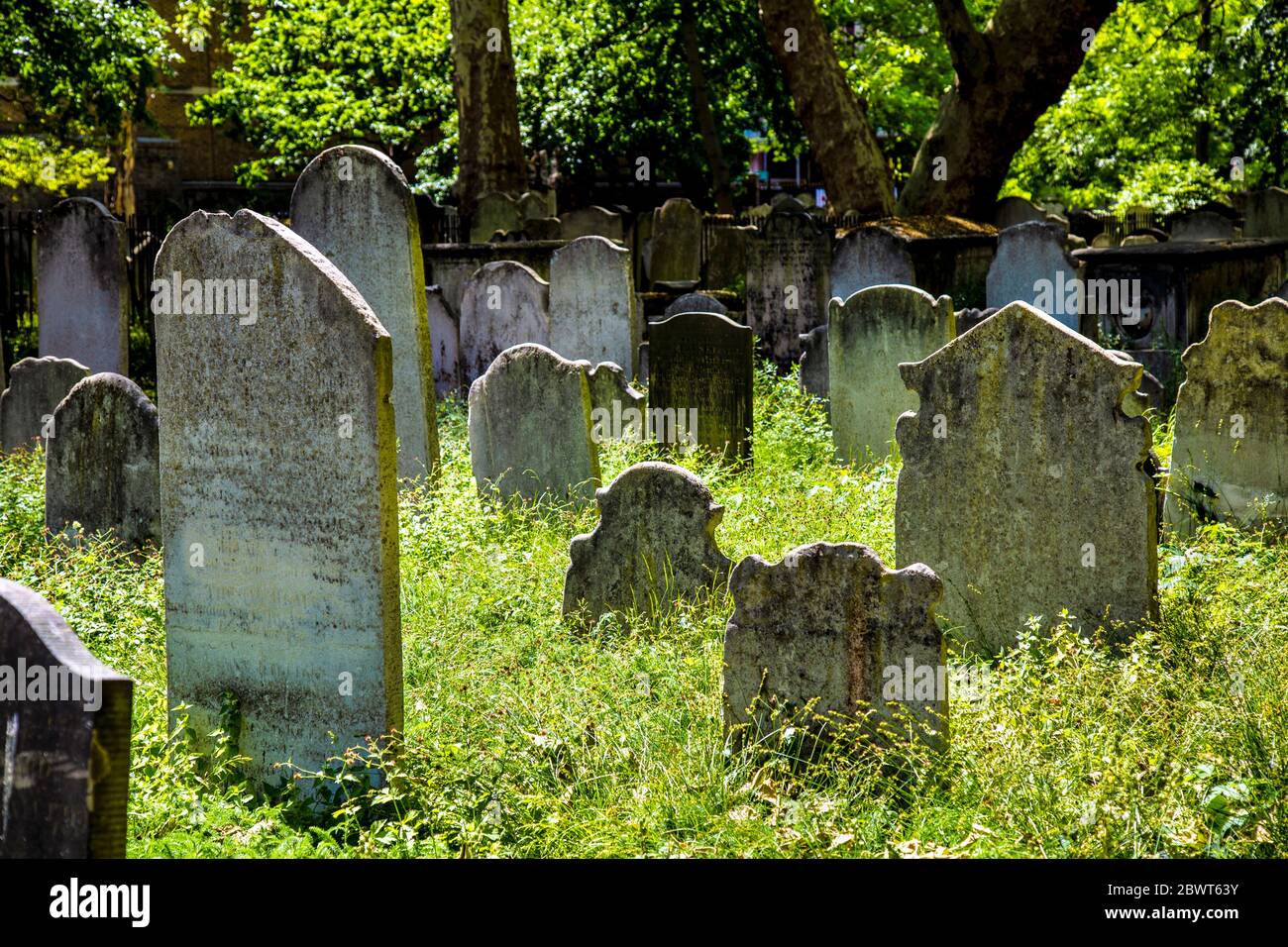 Grabsteine in hohem Gras auf dem viktorianischen Bunhill Fields Begräbnisgelände, Old Street, London, Großbritannien Stockfoto