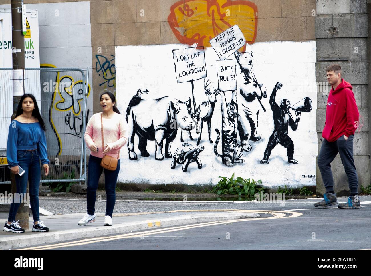 Ein neues Stück Street Art des Rebellen Bären ist an einer Wand in Leith, Edinburgh, erschienen, als Schottland in Phase eins des Plans der schottischen Regierung, die Sperre schrittweise zu heben, übergeht. Stockfoto