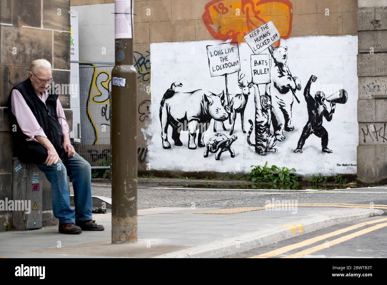 Ein neues Stück Street Art des Rebellen Bären ist an einer Wand in Leith, Edinburgh, erschienen, als Schottland in Phase eins des Plans der schottischen Regierung, die Sperre schrittweise zu heben, übergeht. Stockfoto