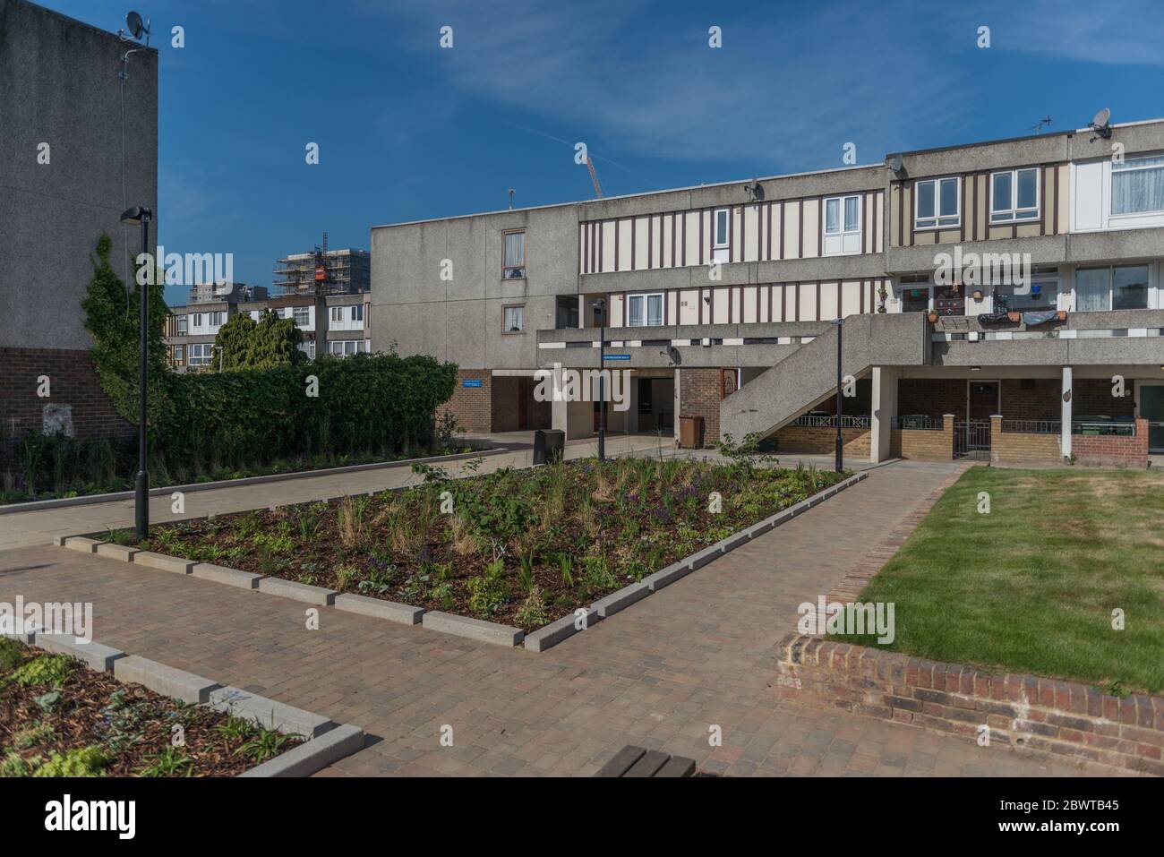 Kürzlich gepflanzte Regengärten auf dem Thamesmead Estate, London, im Jahr 2020 installiert Stockfoto
