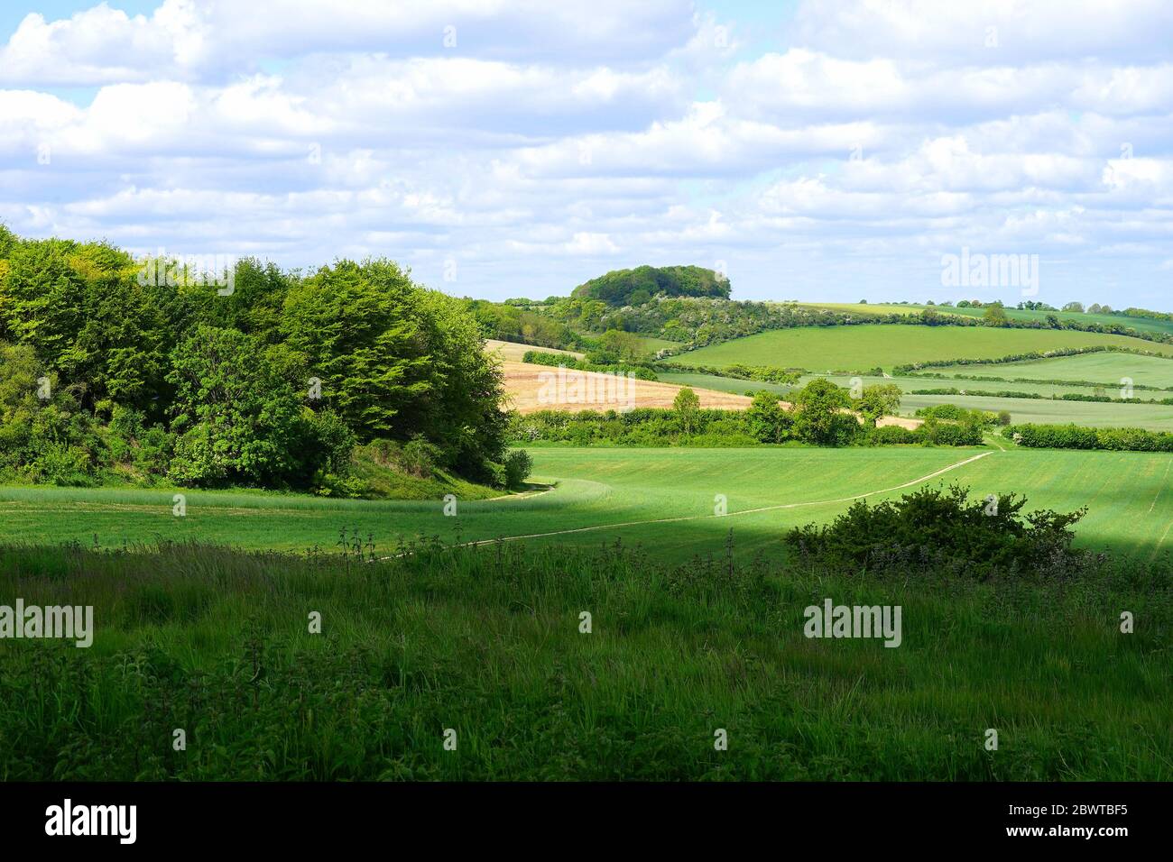 Blick über die Landschaft von Clothall Stockfoto