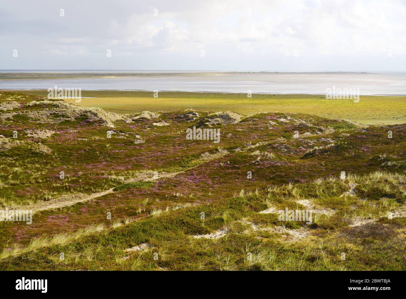 Naturlandschaft auf der deutschen Insel Sylt im Wattenmeer, Norddeutschland. Stockfoto