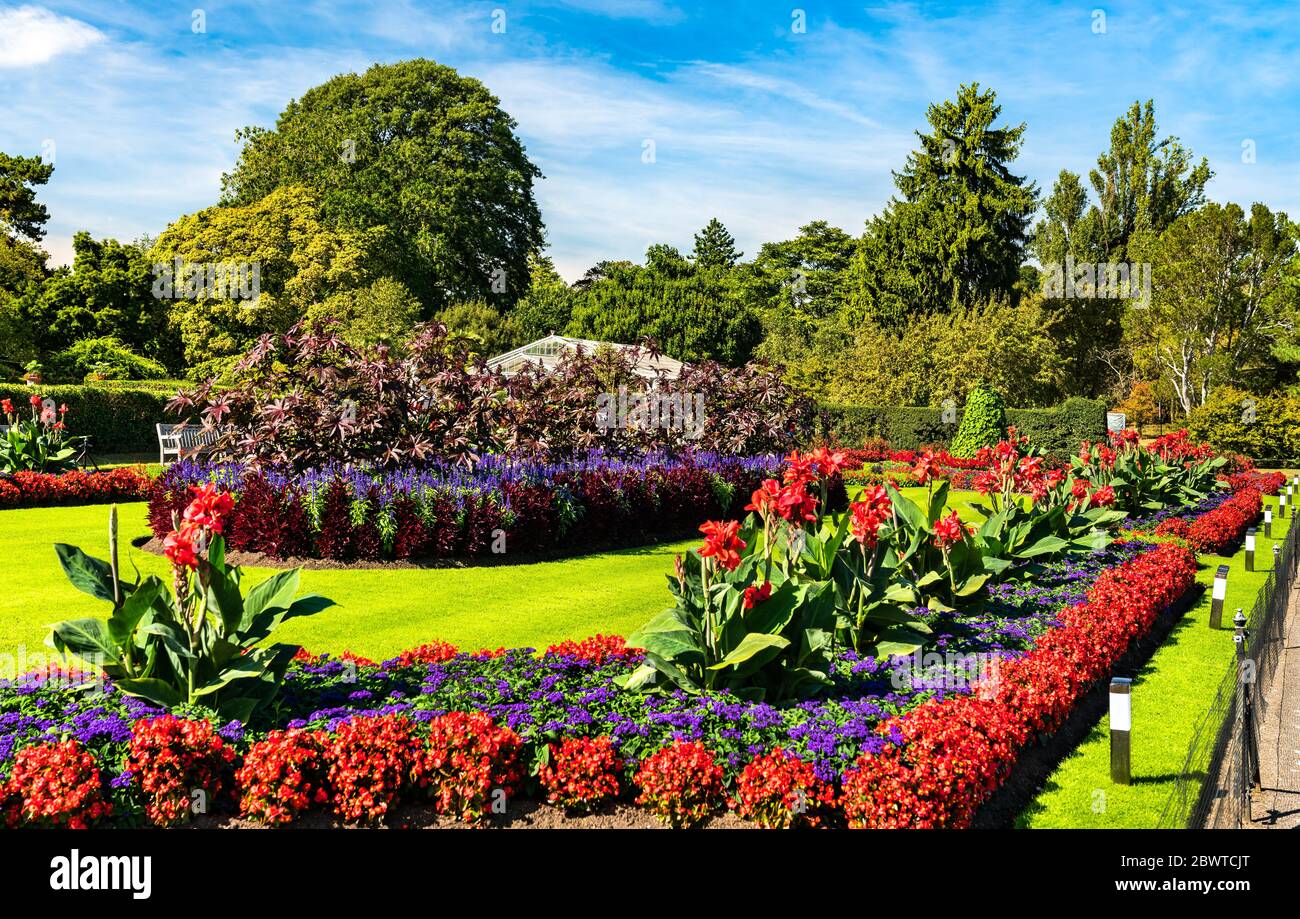 Blumen in Kew Gardens in London Stockfoto