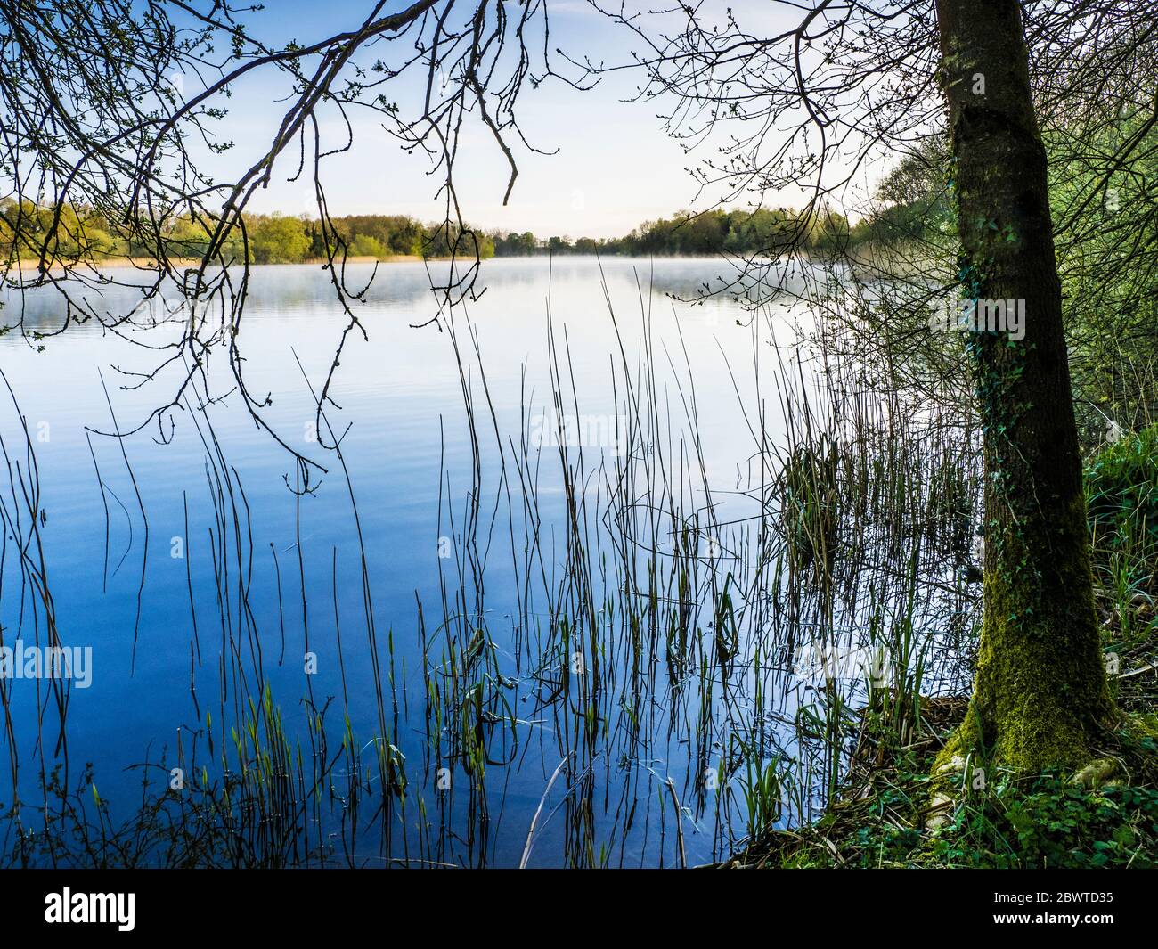 Ein sonniger Frühlingsmorgen im Coate Water in Swindon. Stockfoto