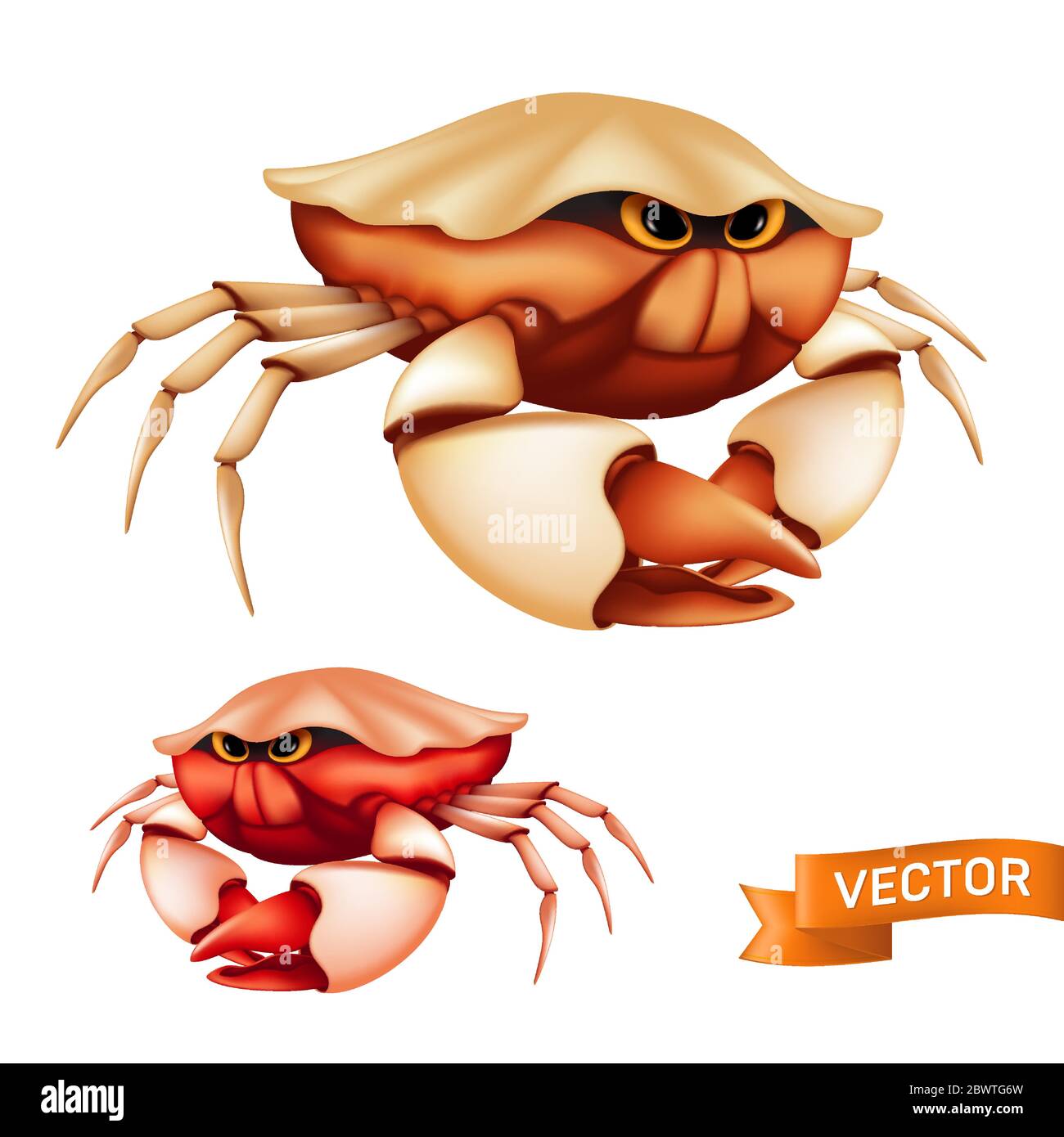 Realistische rote tropische Krabbe mit großen Krallen und lustigen Cartoon-Augen. Vektor-Illustration von niedlichen Muscheln auf weißem Hintergrund isoliert Stock Vektor