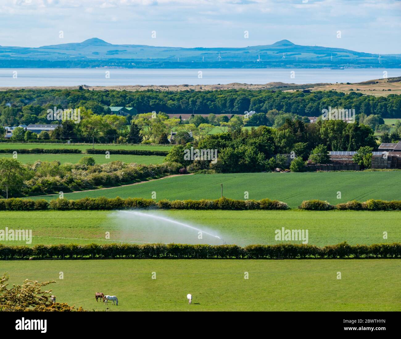 Wasserschlauch Spray Bewässerung Erntefeld an sonnigen Tag mit Blick auf Fife, East Lothian, Schottland, Großbritannien Stockfoto