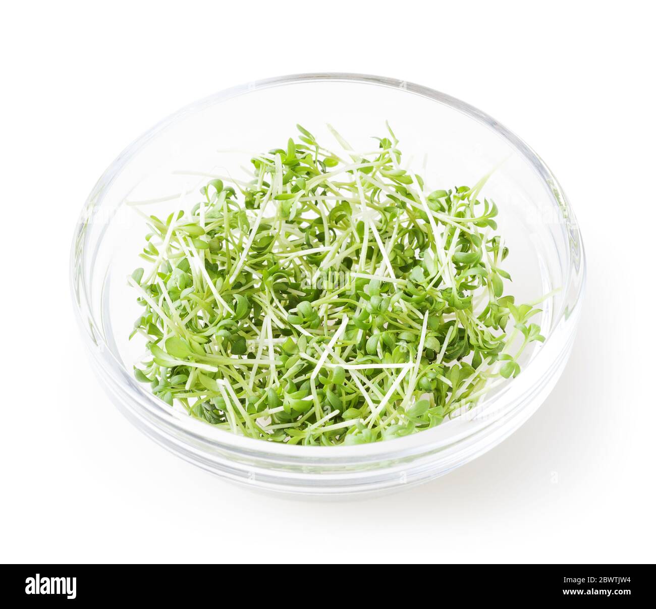 Micro Greens Garten Kresse Sprossen in Glas Schüssel isoliert auf weißem Hintergrund mit Clipping-Pfad Stockfoto