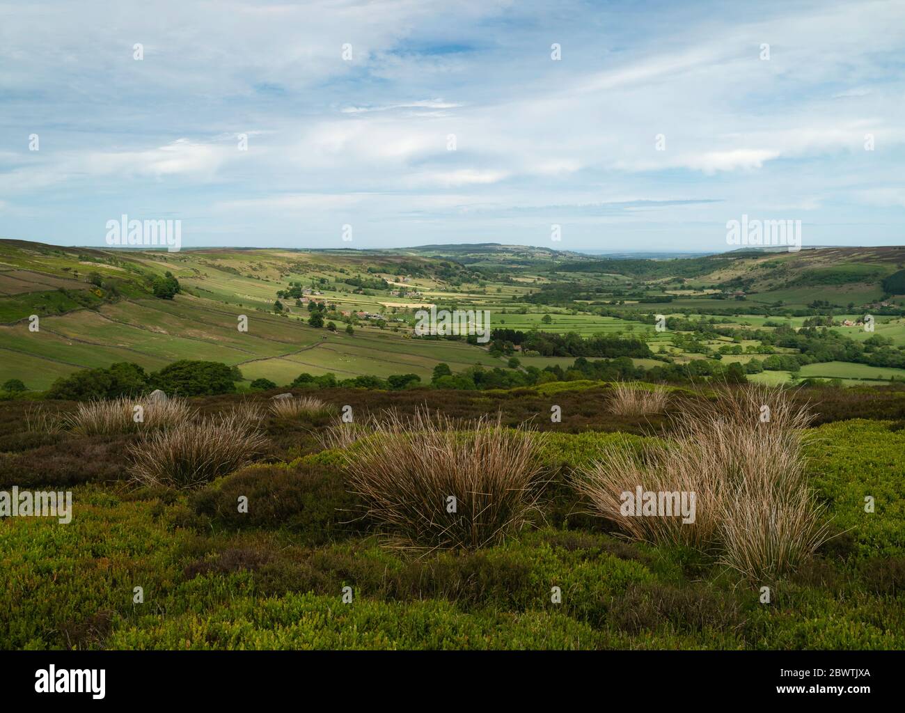 North York Moors mit prominenter Heide, Bäumen, Feldern, Heidekraut und Gräsern unter blauem, bewölktem Himmel im Frühling in Glaisdale, Yorkshire, Großbritannien. Stockfoto