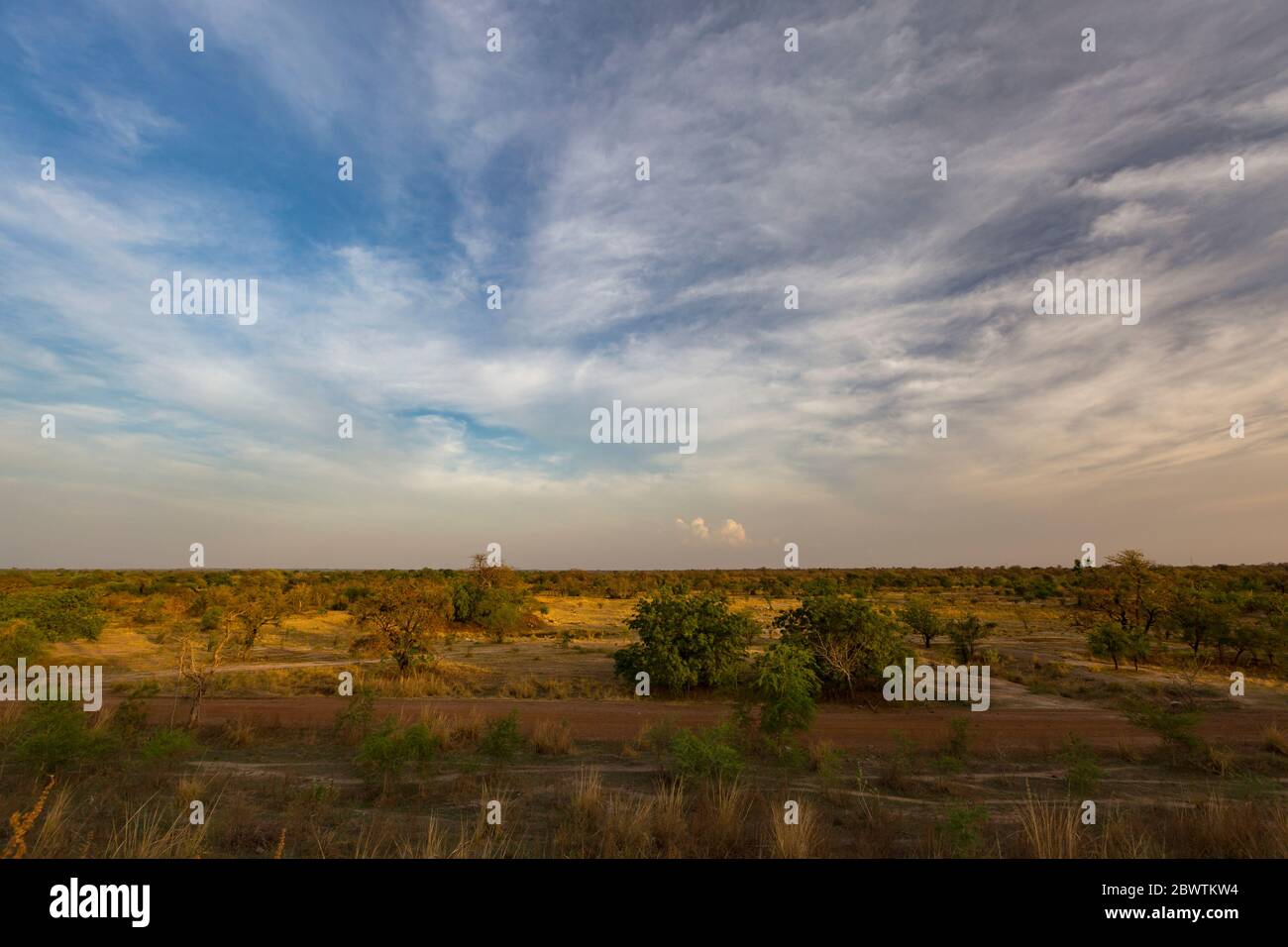 Landschaftsansicht des Lebensraums vom Tono Dam, Kassena Nankana, Ghana, März 2016 Stockfoto