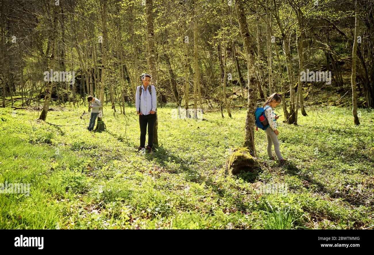 Mutter erforscht den Wald, während Kinder auf der Schwäbischen Alb von Mobiltelefonen abhängig sind Stockfoto