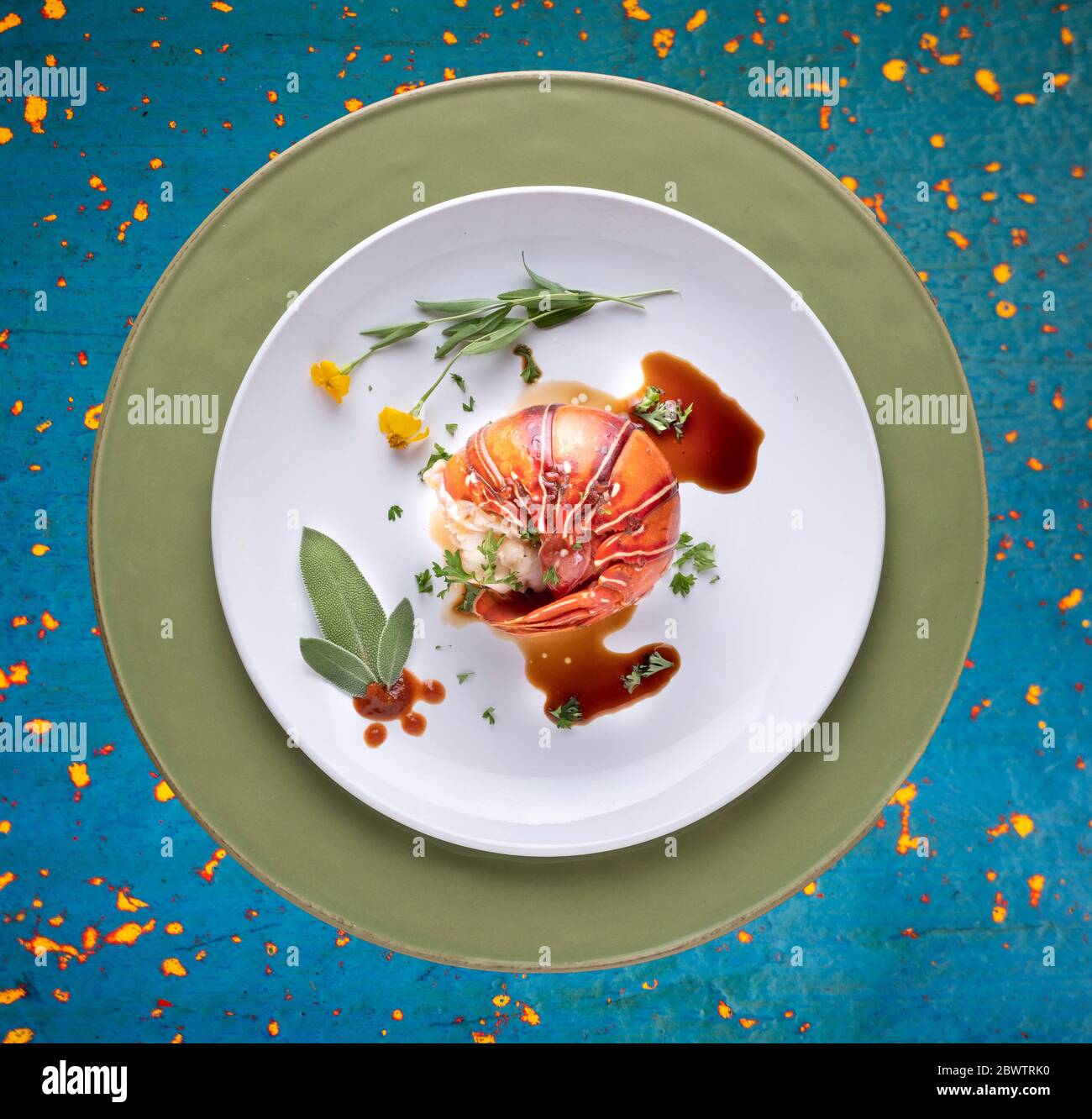 Gekochter Hummer mit Kräutern Stockfoto