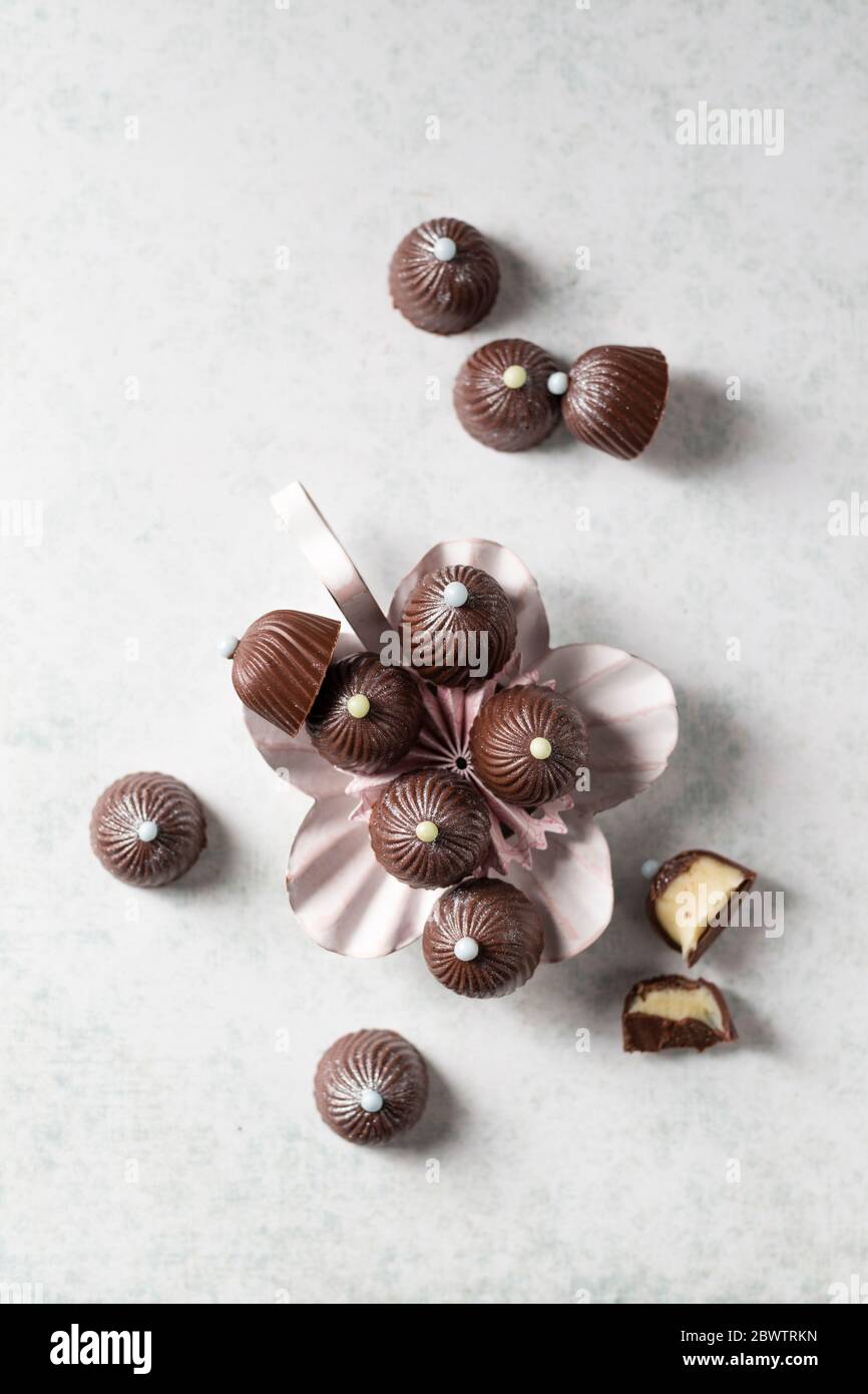 Schokoladen-Pralinen mit Vanilleganache Stockfoto