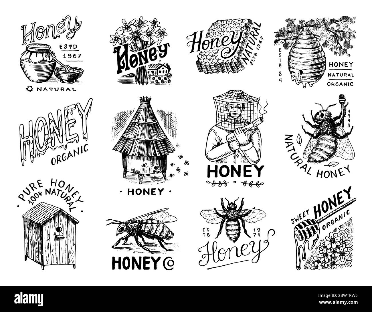 Honig und Bienen gesetzt. Imker und Waben und Bienenstock und Bienenstock. Vintage Logo für Typografie, Shop oder Schilder. Abzeichen für T-Shirts. Handgezeichnet Stock Vektor