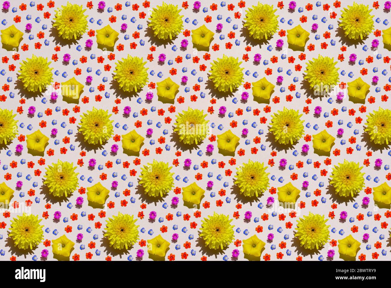 Muster aus bunten Blütenköpfen Stockfoto