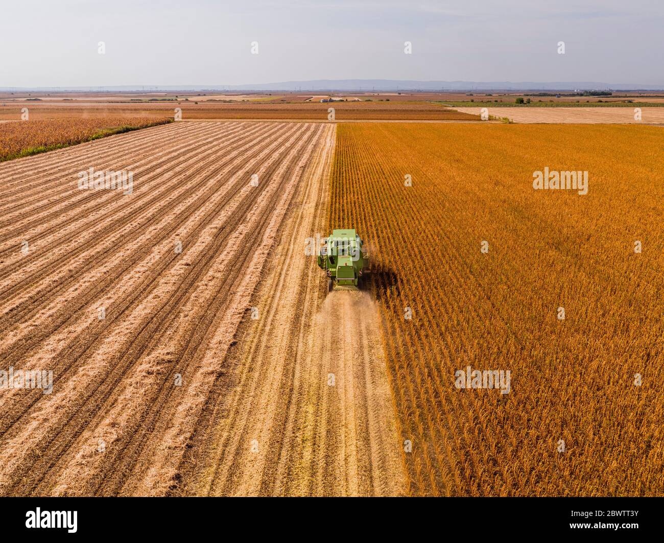 Luftaufnahme des Mähdreschers auf einem Sojabohnenfeld Stockfoto