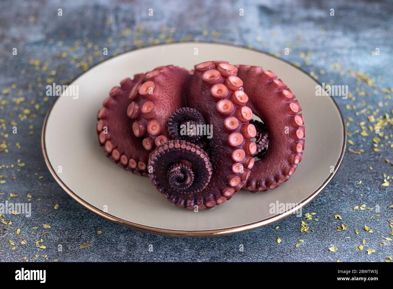 Köstliche Kraken Tentakeln auf einem feinen Teller serviert Stockfoto