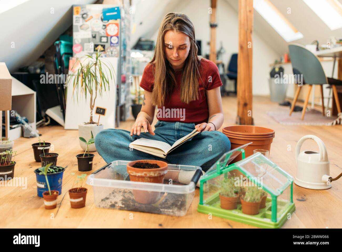 Junge Frau liest Buch neben Pflanzen auf Holzboden Stockfoto