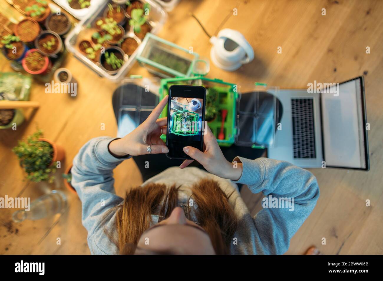 Junge Frau, die Smartphone-Foto von Pflanzen auf Holzboden Stockfoto