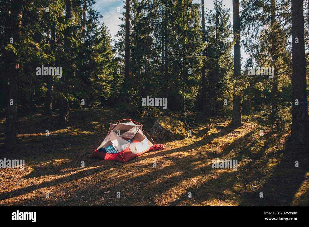 Zelt im Wald, mit einer Person, die im Schlafsack schläft Stockfoto