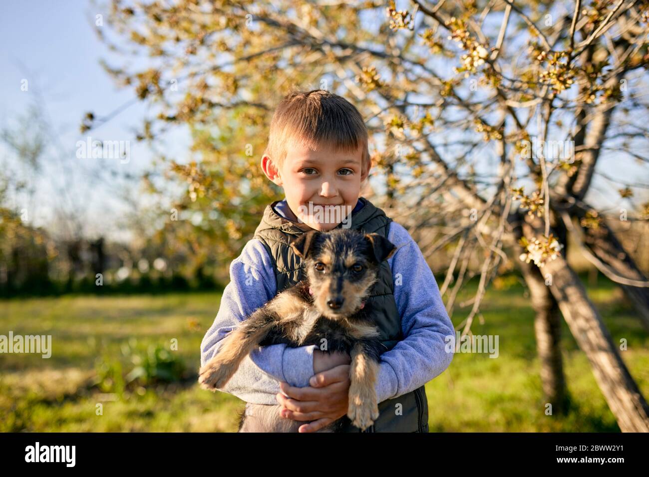 Porträt eines Jungen, der Hund auf einer Wiese hält Stockfoto