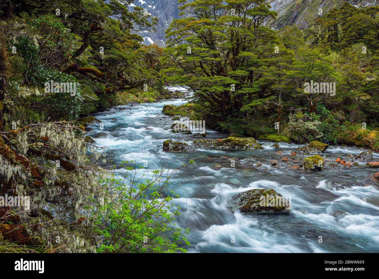 Neuseeland, Southland, Te Anau, Langzeitbelichtung des Hollyford River Stockfoto