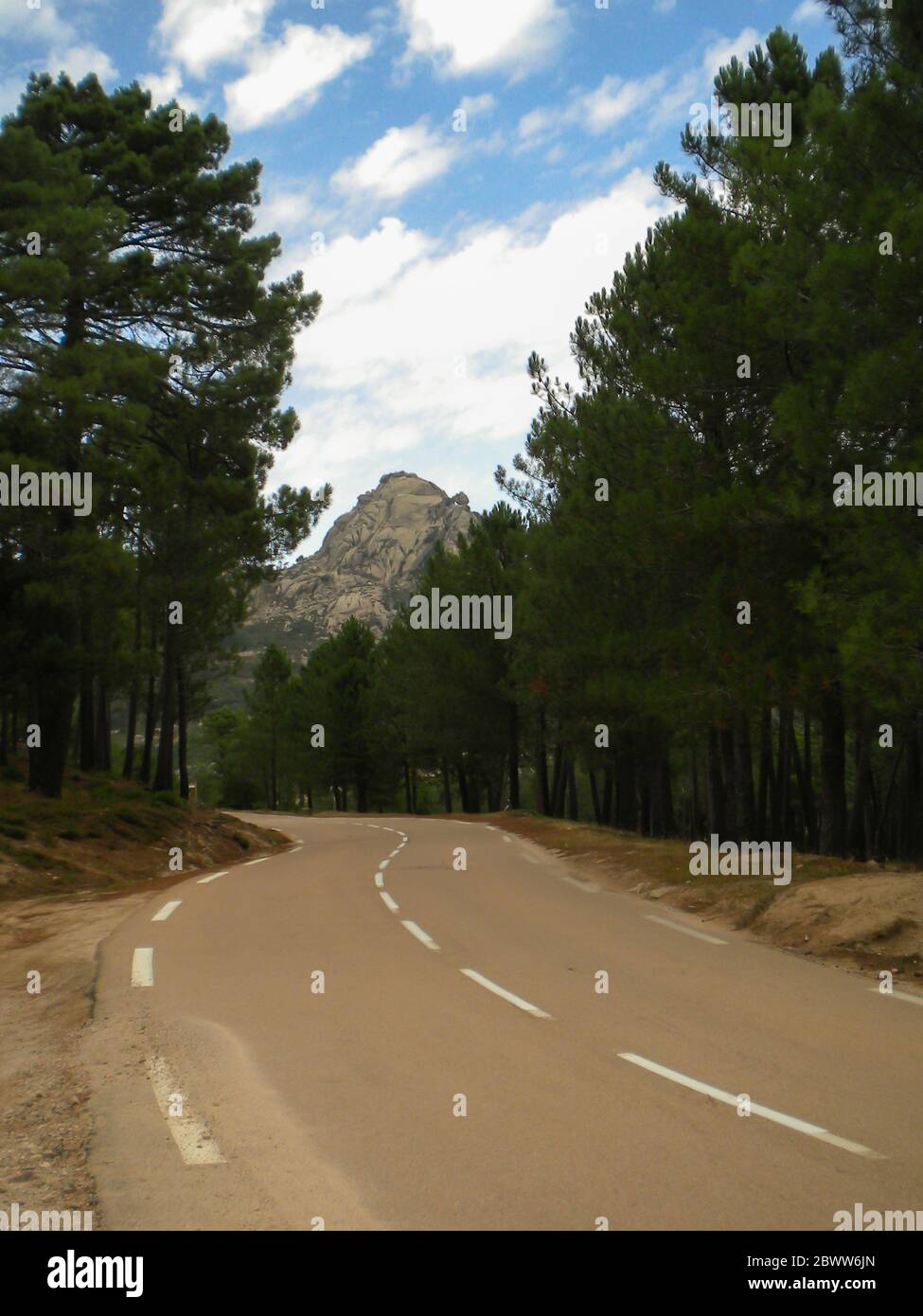 Eine schmale Straße, die zu den Bergen zwischen einem Wald führt Stockfoto