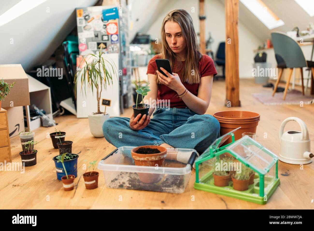 Junge Frau, die Smartphone-Foto von Pflanzen auf Holzboden Stockfoto