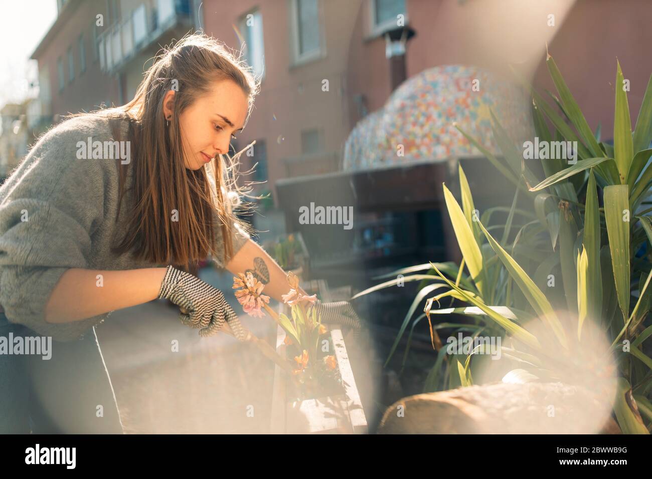 Junge Frau, die im Garten bei Sonnenschein arbeitet Stockfoto