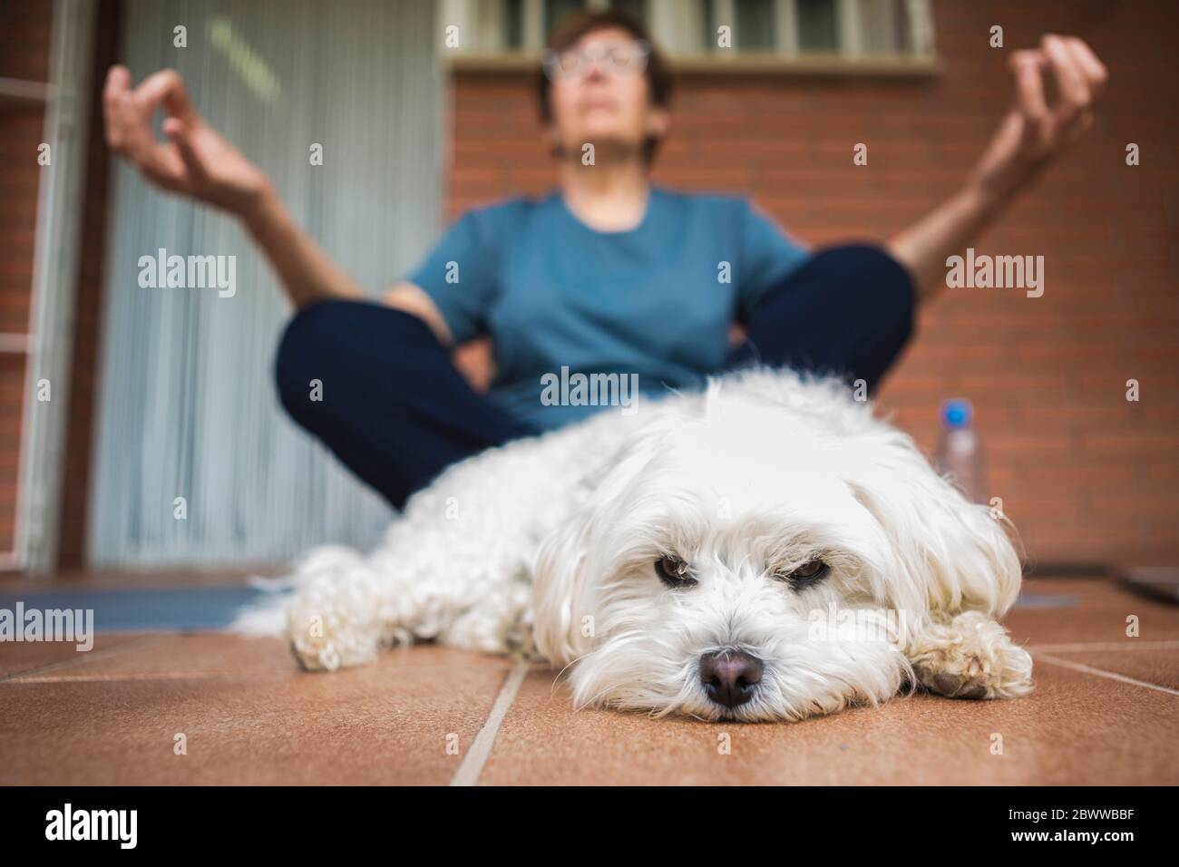 Ältere Frau meditiert auf dem Balkon, Hund im Vordergrund Stockfoto