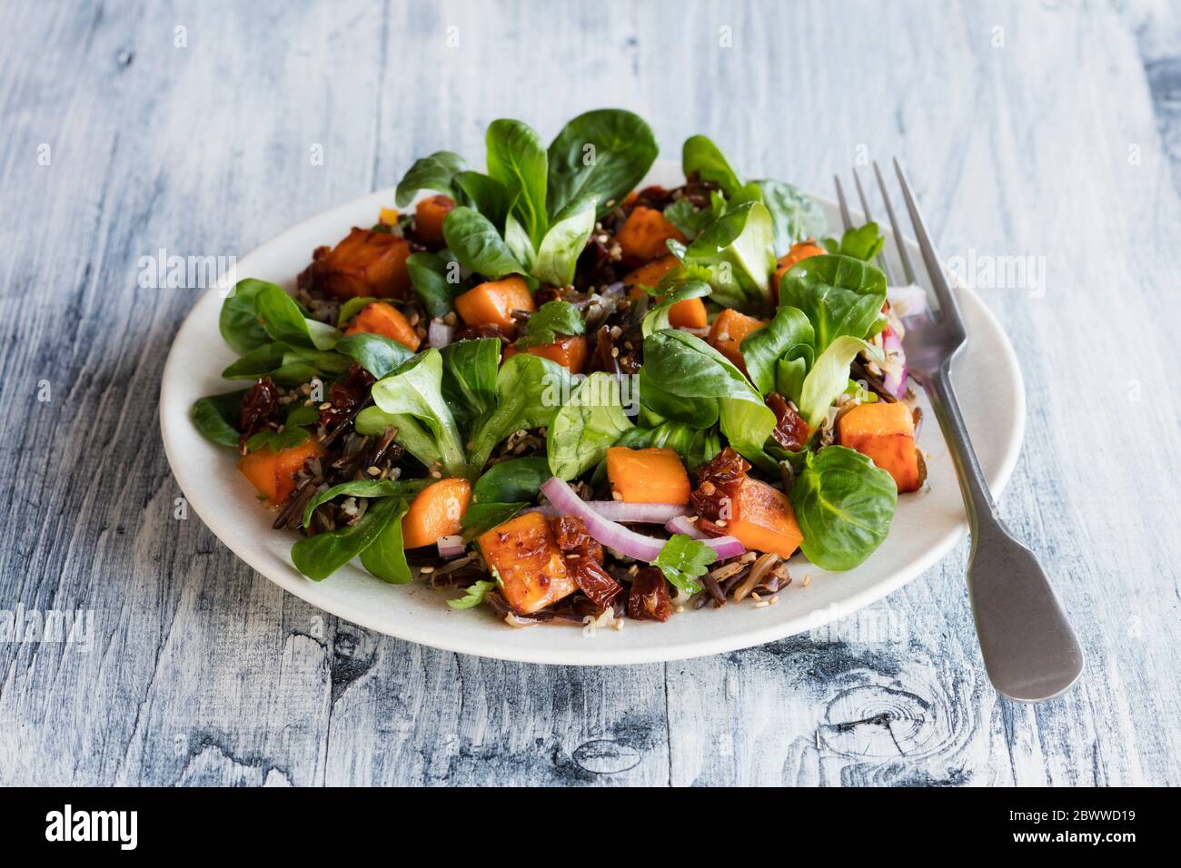 Teller mit Süßkartoffelsalat mit Wildreis und Mais-Salat Stockfoto