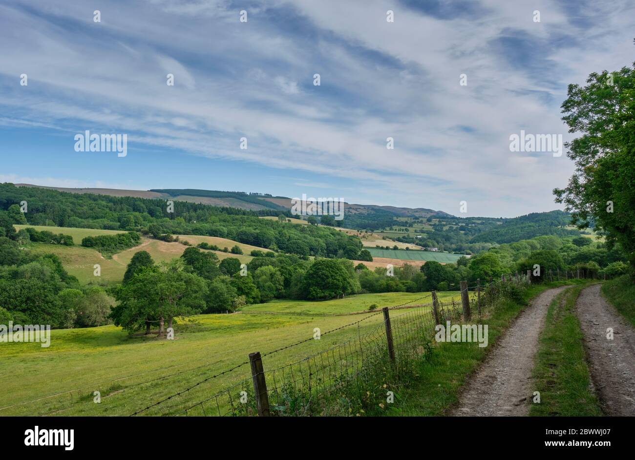 Blick auf den Long Mynd vom Rand des Heath Wood in der Nähe von Craven Arms, Shropshire Stockfoto
