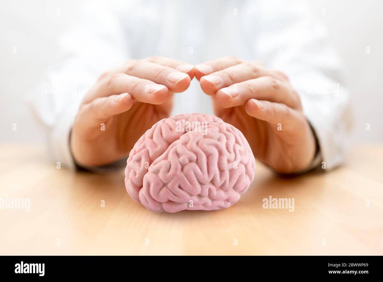 Menschliches Gehirn von Händen bedeckt Stockfoto