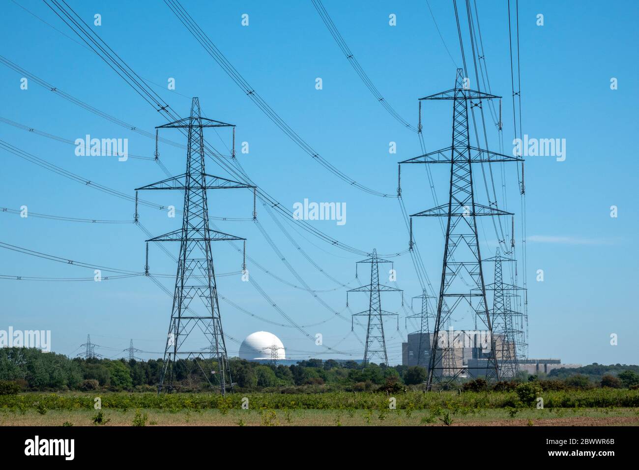 Eine Linie von Strommasten aus dem Kernkraftwerk Sizewell A und B in der Ferne Stockfoto