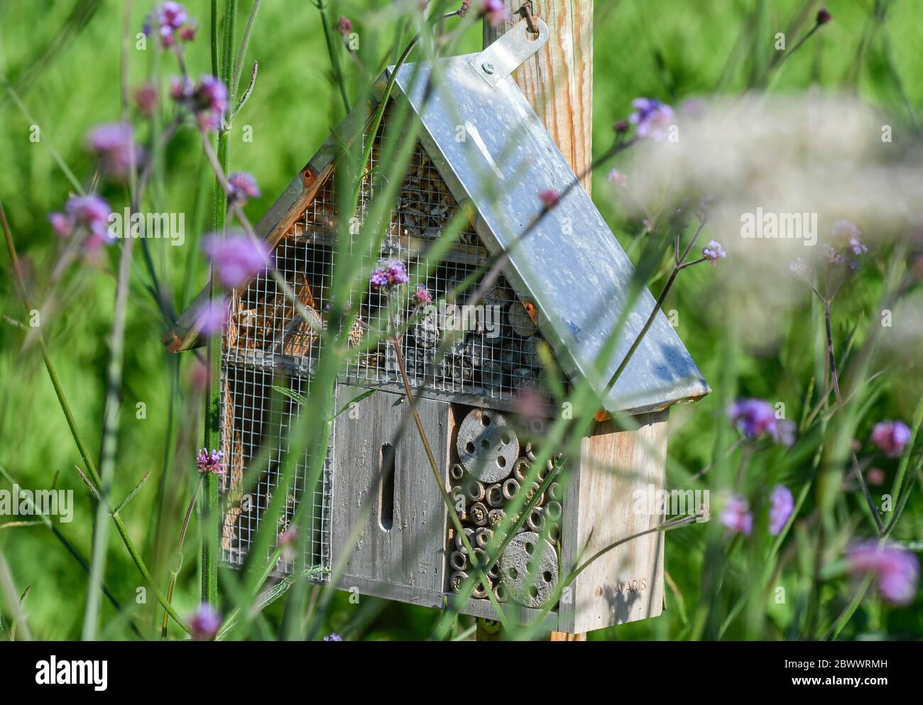 Hotel für Insekten im Vordergrund, zwischen den Blumen eines Bio-Gartens Stockfoto