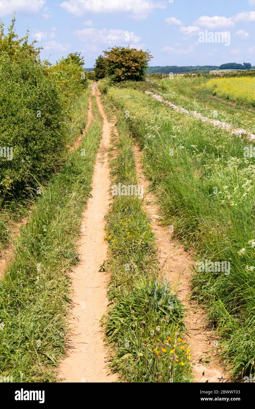 Ryknild Street oder Icknield Street (lokal Condicote Lane) eine römische Straße südlich des Cotswold Dorfes Condicote, Gloucestershire UK Stockfoto